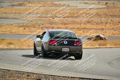 media/Dec-08-2024-Extreme Speed (Sun) [[1809d52206]]/Purple Group/Session 1 (Turn 2)/